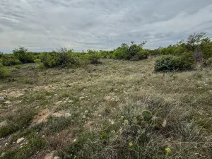 Voss, TX 76888
