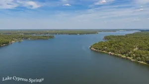 Scroggins, TX 75480