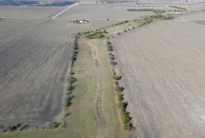 Coupland, TX 78615