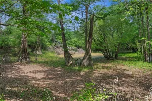 Carthage, TX 75633