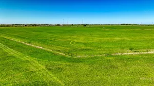 Dublin, TX 76446