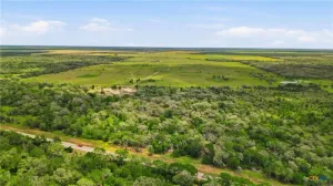 Hallettsville, TX 77964