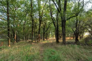 Jonesboro, TX 76538