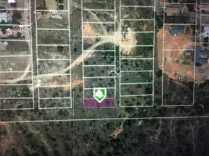 Borger, TX 79007