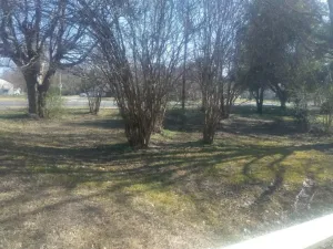 Greenville, TX 75401