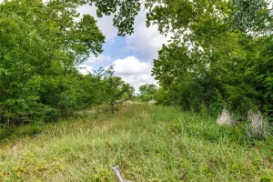 Savoy, TX 76479