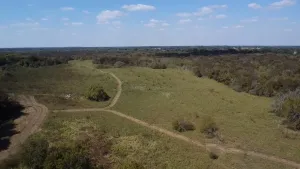 Dawson, TX 76639