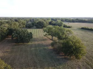 Mexia, TX 76667