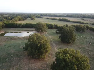 Mexia, TX 76667