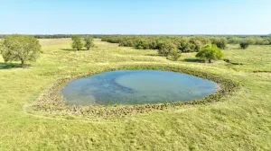 Pilot Point, TX 76258