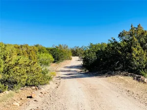 Bronte, TX 76933