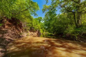 Coleman, TX 76834