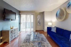 Irving, TX 75061