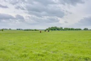 Weatherford, TX 76085