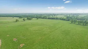 Honey Grove, TX 75446