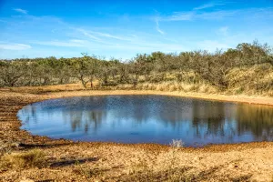Talpa, TX 76882