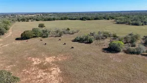 Gonzales, TX 78632