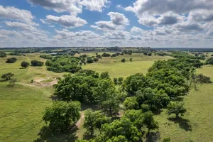 Hamilton, TX 76531