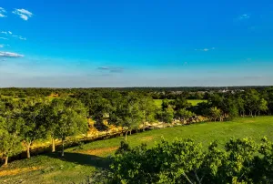 Austin, TX 78737