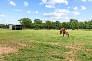 Pilot Point, TX 76258