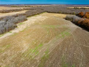 Bristol, TX 75119