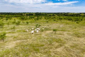 Mullin, TX 76864