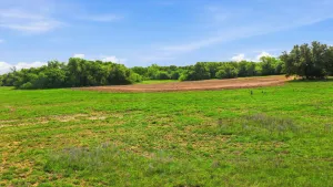 Azle, TX 76020