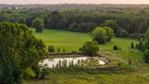 Sulphur Springs, TX 75482