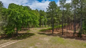 Linden, TX 75563