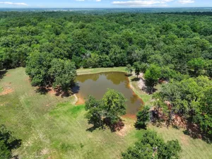Powderly, TX 75473