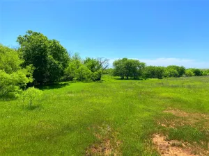 Bowie, TX 76230