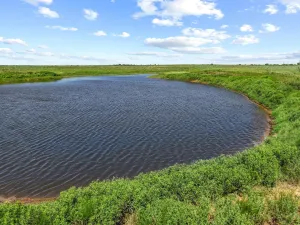 Ryan, OK 73565