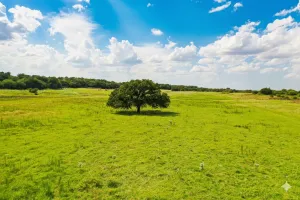 Harrold, TX 76364