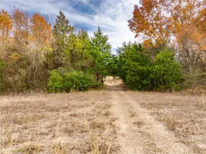 Bristol, TX 75119