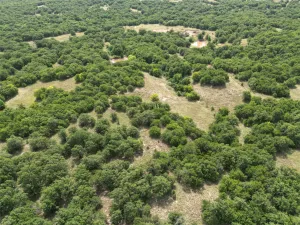 Nocona, TX 76255