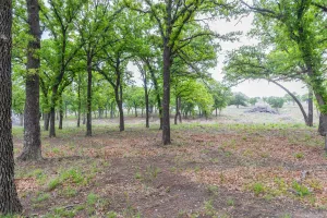 Ovalo, TX 79541