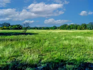 St Jo, TX 76265