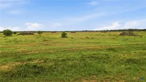 Hallettsville, TX 77964