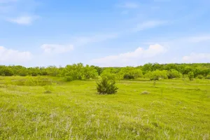 Aledo, TX 76008