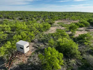 Voss, TX 76888