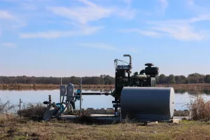 Clarksville, TX 75426