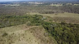 Dawson, TX 76639