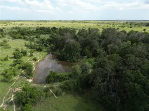 Hamilton, TX 76531
