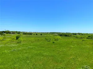 Bowie, TX 76230