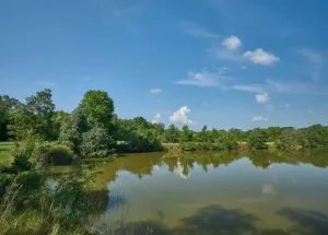 Rockdale, TX 76567