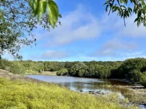 Walnut Springs, TX 76690
