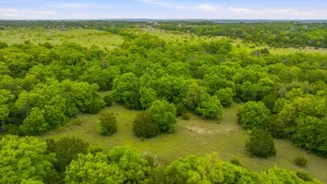 Aledo, TX 76008