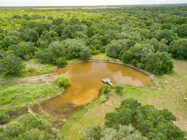 Eagle Lake, TX 77434