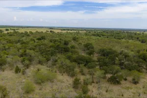 Wills Point, TX 75169