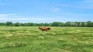 Pilot Point, TX 76258